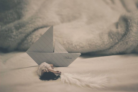 11034916_844704185601899_6185849975820779816_n