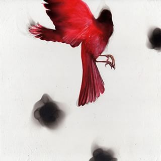 11348205_1623000041309082_1856440472_n