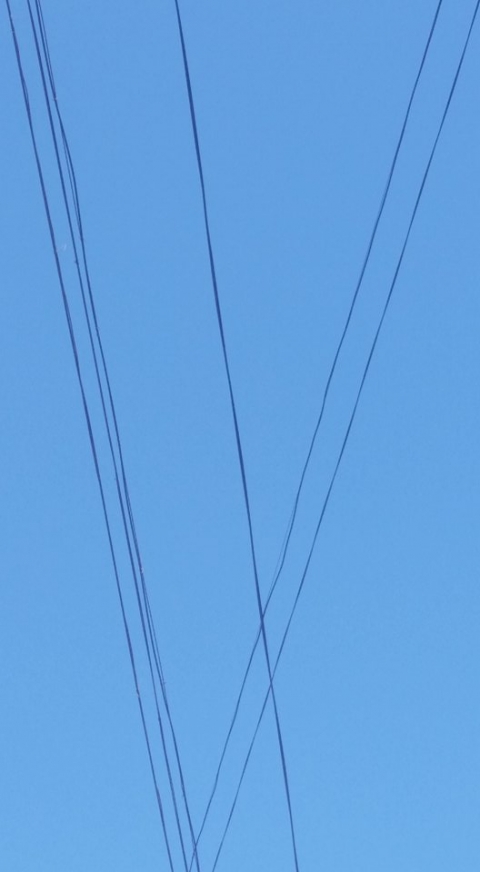 13318849_1156314707732877_438453502_n