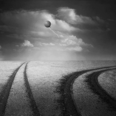 13533345_1151241281614853_188865421441037143_n