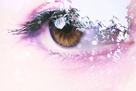 1377408_975176639221319_250048841007058624_n