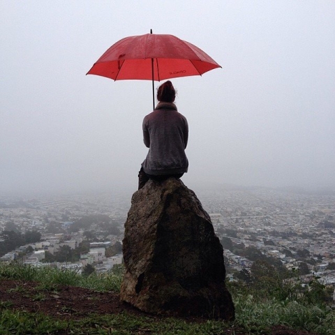 1378862_866832056722445_370914909233697345_n