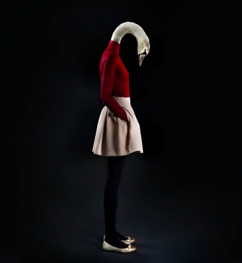 1511098_769533429785642_5234109098074197877_n