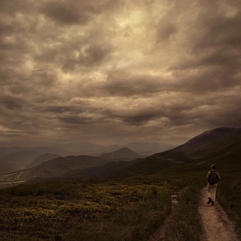 201013846805120002811(2)